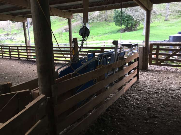 297 Kaitawa Road Pahiatua_14