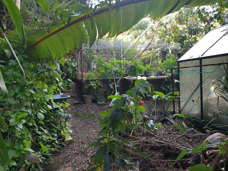 15 Puriri Place, Tuateawa_42