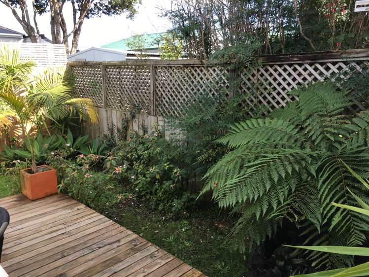 114a Landscape Road Mount Eden_7