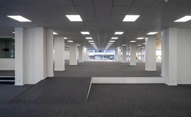 93 Dominion Road Mount Eden_2