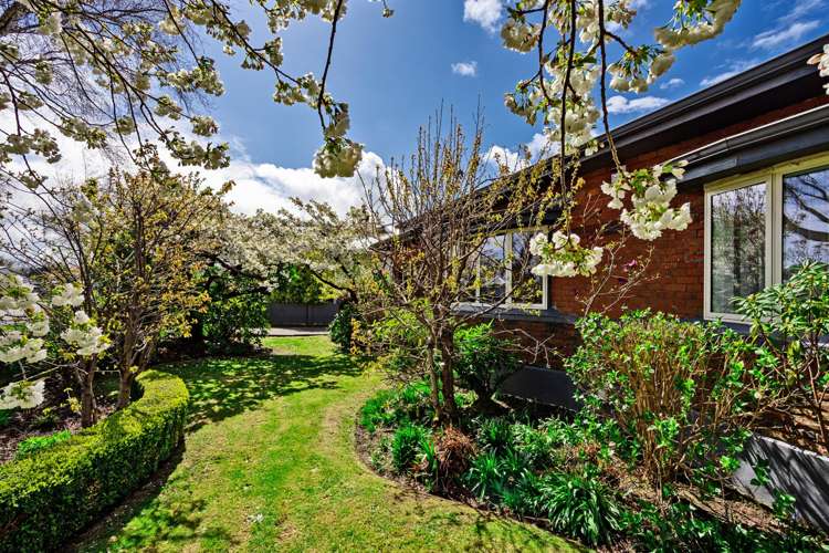 58 Wellington Street Georgetown_37