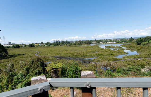 144c Canal Road Avondale_1