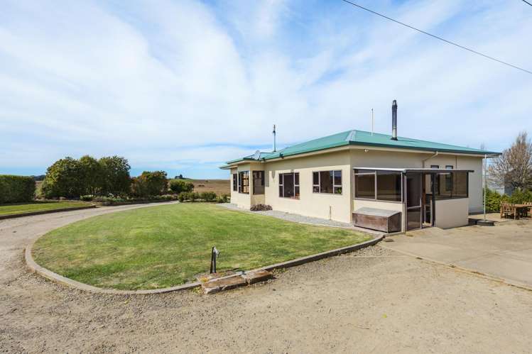 26 Springfield Road Totara_3