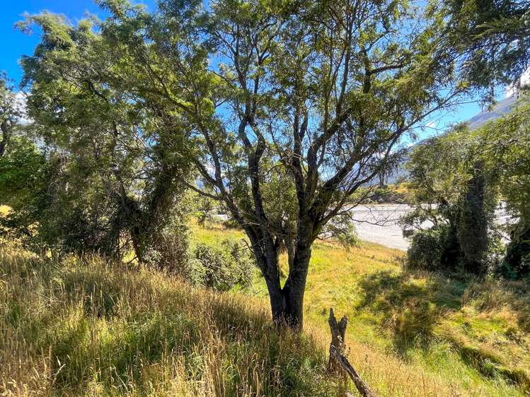 Dart River Island Glenorchy_19