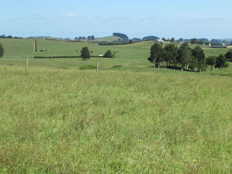 311 Hunt Road Pukekawa_23