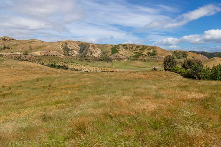 398 Redwood Pass Road Redwood Pass_7