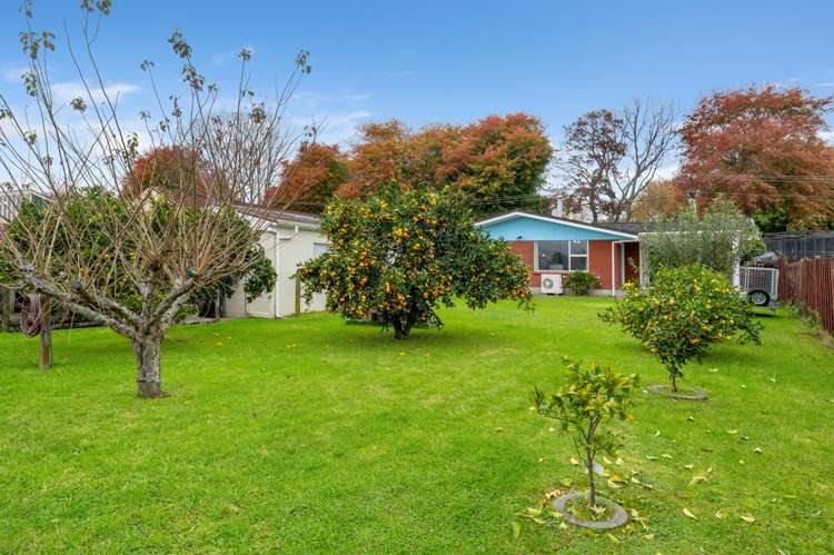 61 Queen Street Te Puke_21