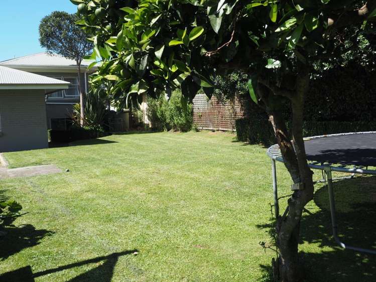 26 Hall Street Kihikihi_18