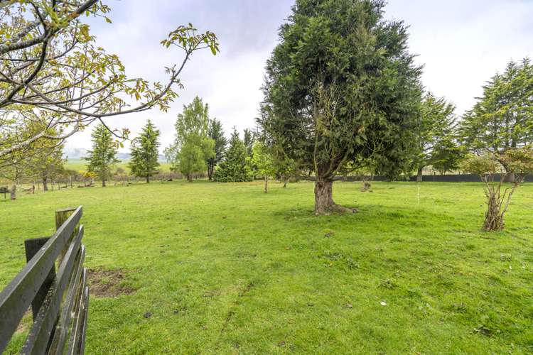 164 Birchwood Road Ohai_4