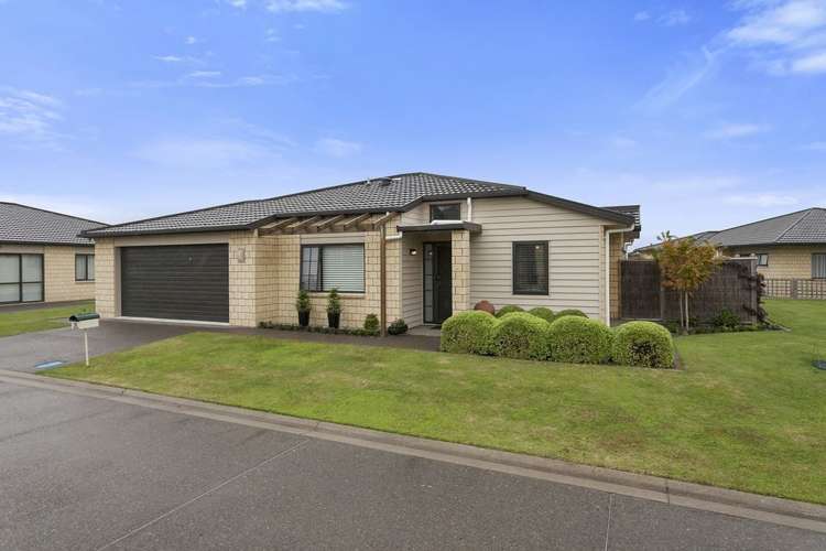 12/11 Manuka Street Matamata_0