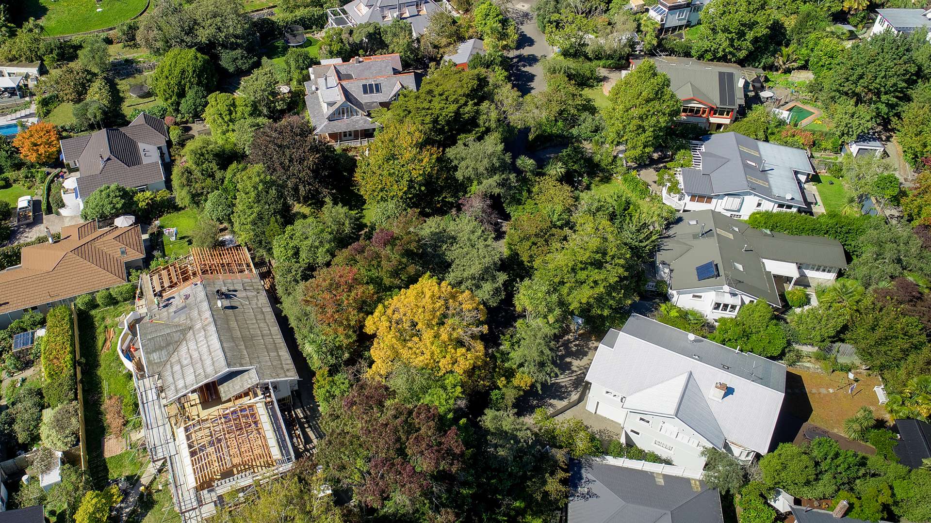 7 Endeavour Street Nelson South_0