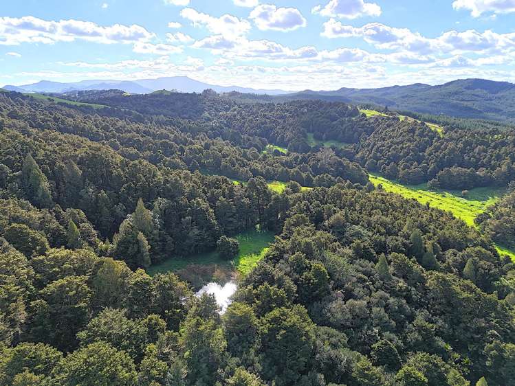 Ounuwhao Road Dargaville Surrounds_16