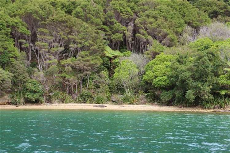 Endeavour Inlet Marlborough_23