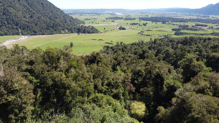 254 Doughboy Road Kokatahi_75