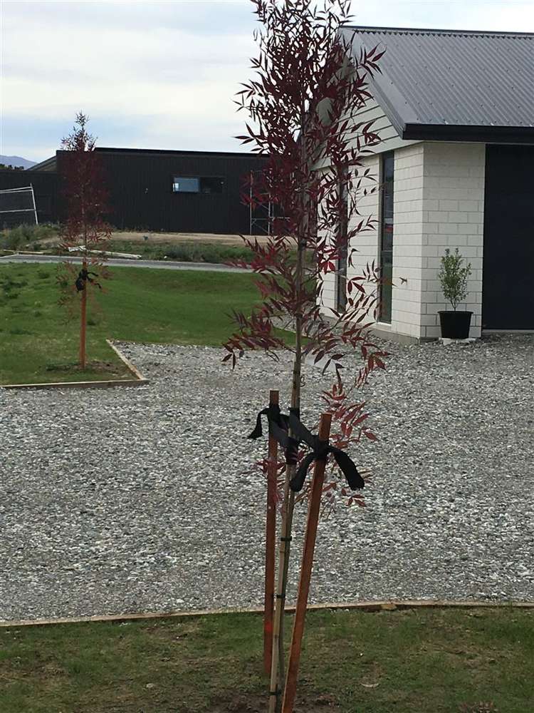 37 Hosking Drive Cromwell_19