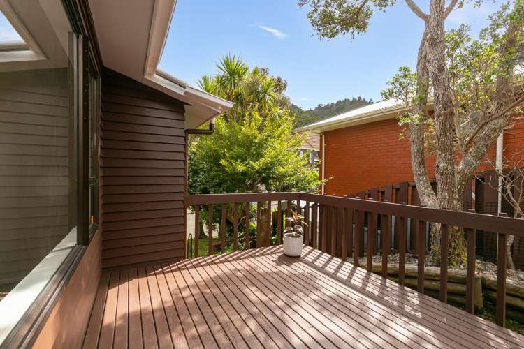 61 Amapur Drive Khandallah_22