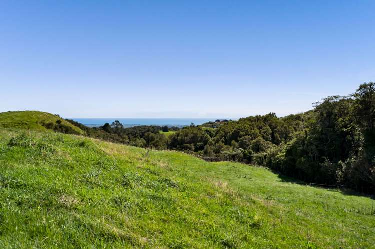 855 Dover Road Okato_20