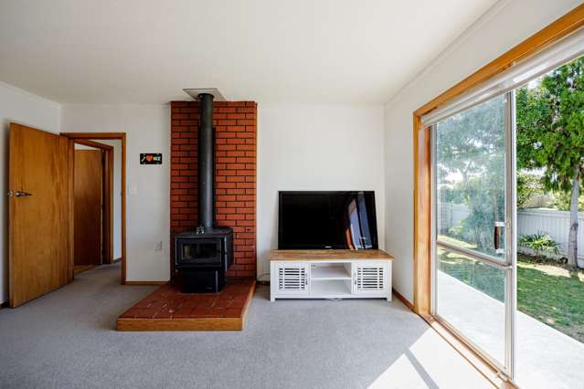 39 Plunket Street Tamatea_3