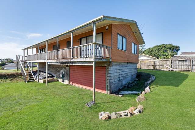 197 Finlayson Avenue Clendon Park_2