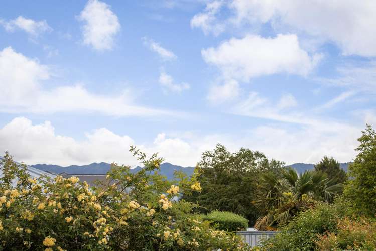 10A Wills Road Katikati_16