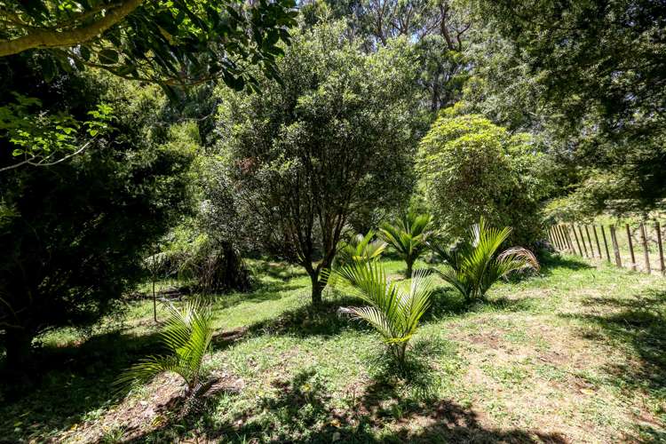 248 Surrey Hill Road Kaitake_22