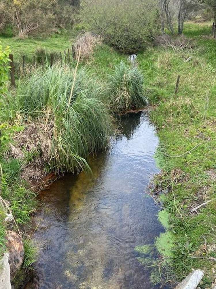 21 Wainui South Road Whakamarama_25