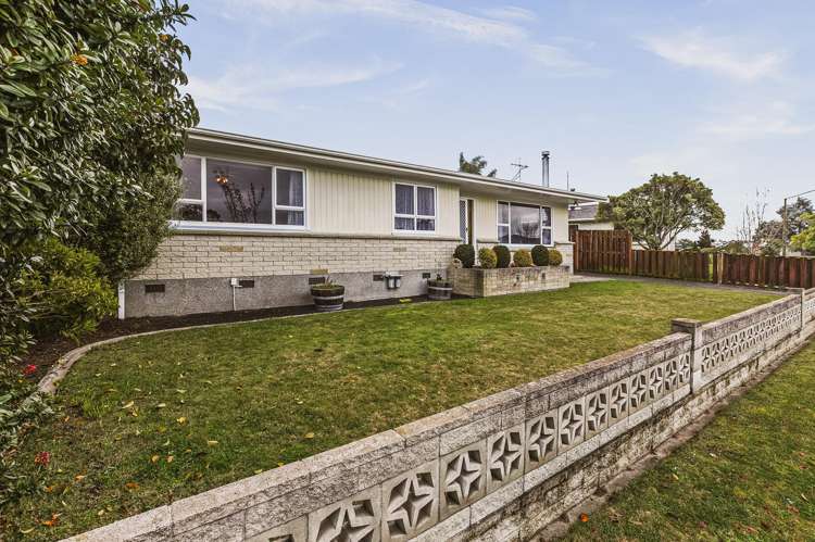 31 Plunket Street Tamatea_13
