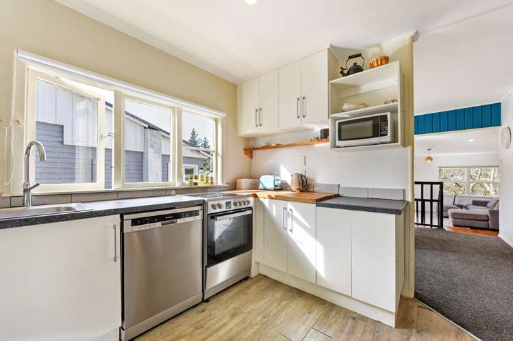 41 Thompson Terrace Toi Toi_8