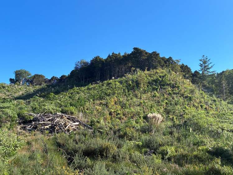 Taraunui Road Parua Bay_2