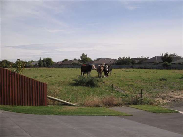 20 Russ Drive Lincoln_17