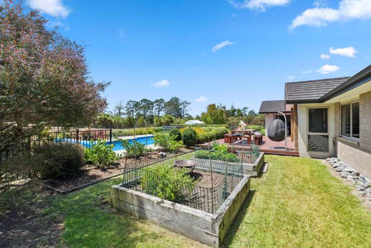 153C Green Road Dairy Flat_18