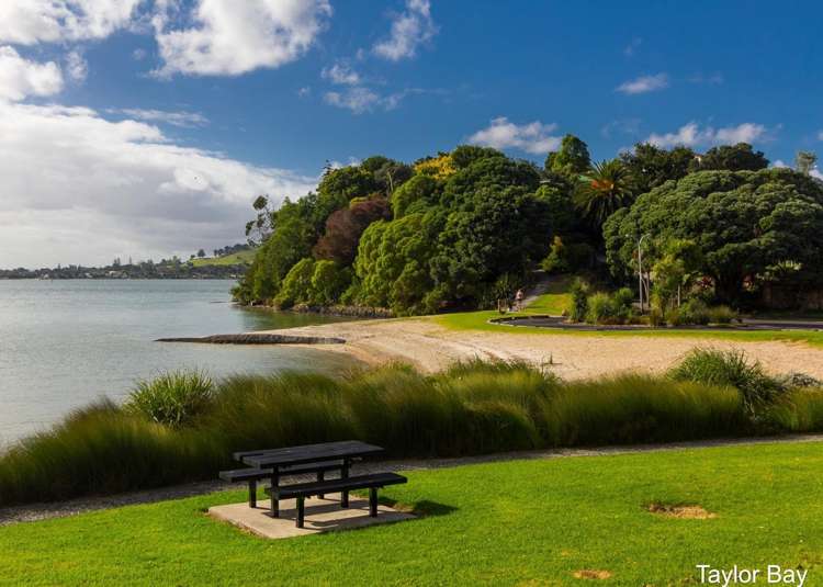 75a Goodall Street Hillsborough_18