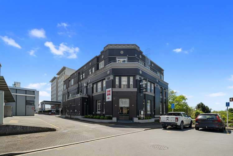 20 Alma Street Hamilton Central_7