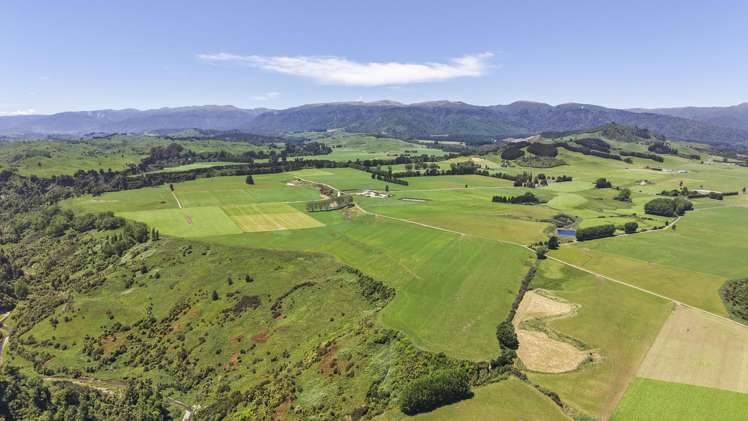 519 Main South Road Rangiwahia_18