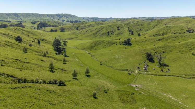 344 North Road Masterton_10