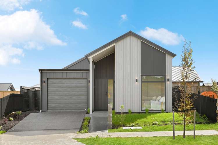 17 Auburn Green Peacocke_17