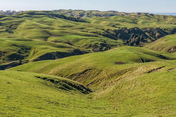 717k Puketitiri Road Puketapu_38