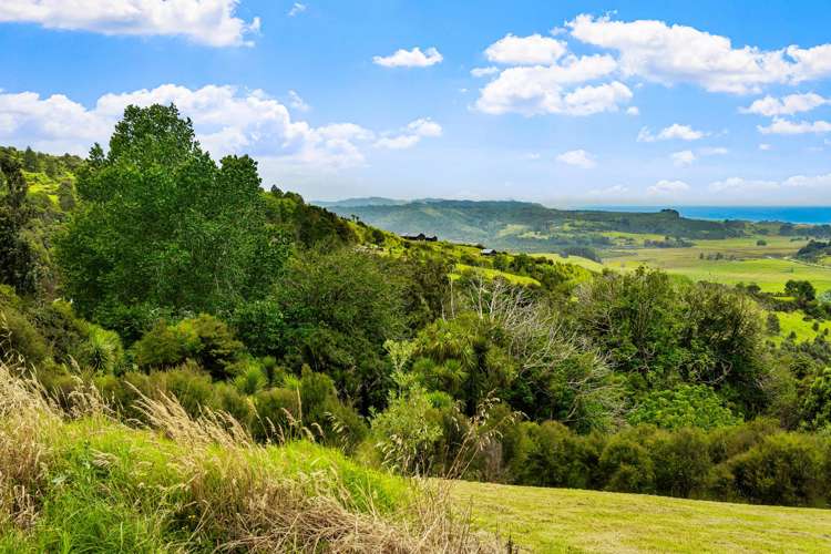 85 Tiro Lane Pakiri_8