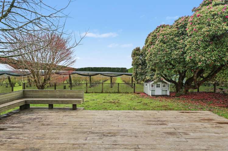 1040 Te Matai Road Te Puke_9