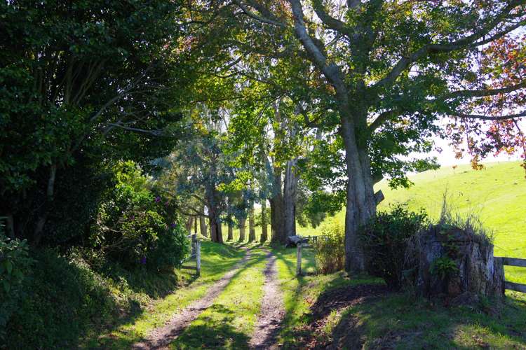 855 Kaahu Road Mangakino_7