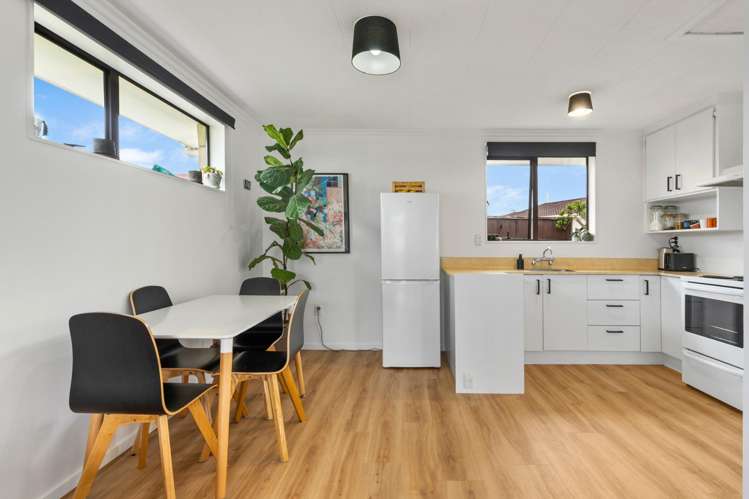 227E Oxford Street South Dunedin_7