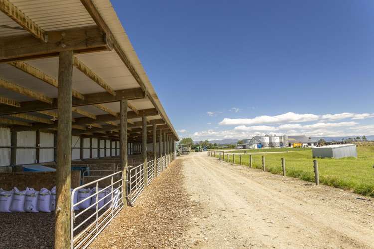 47 Wilson Road Timaru_22