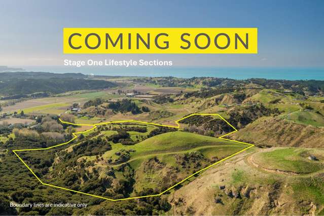 Linden Ridge - New Lifestyle Sections