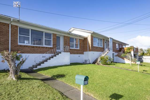 2/9 Clarke Road Onehunga_2