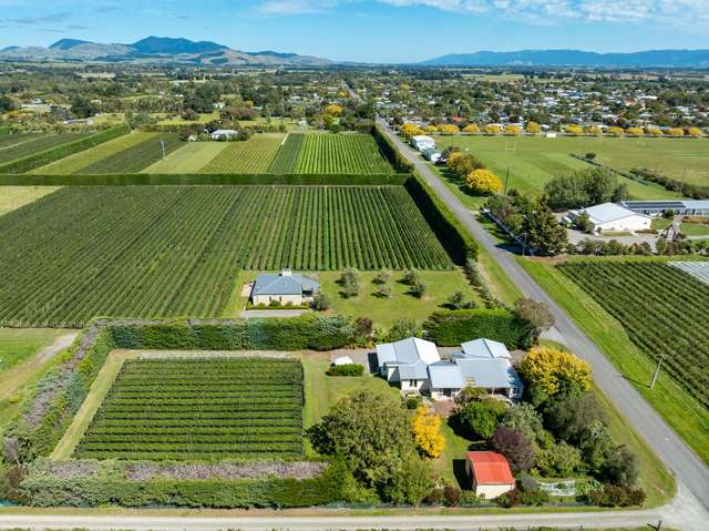 190 Regent Street Martinborough_1