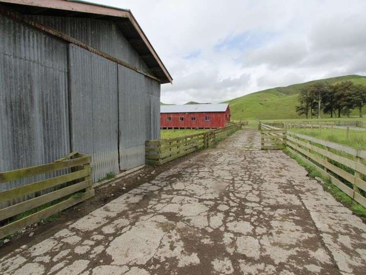 67 Piert Road Kumeroa_13