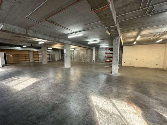 14 Rutherford Street Hutt Central_4