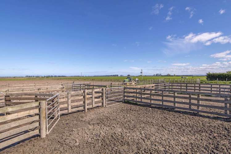 1085 Orton Rangitata Mouth Road Clandeboye_15