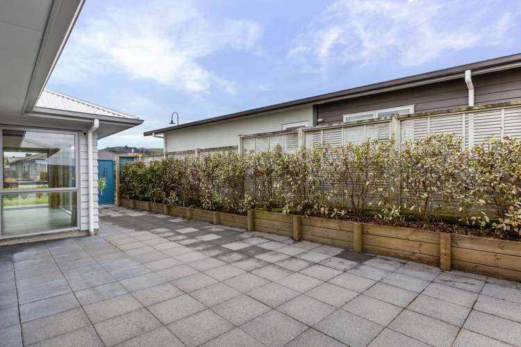 8 The Pheasant Tail Nukuhau_19