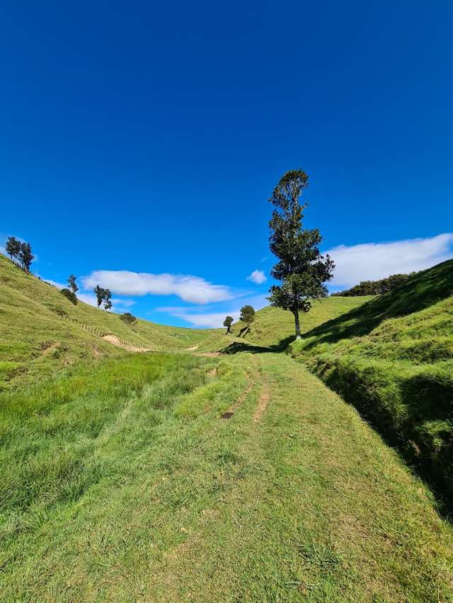 309c Wentworth Valley Road Whangamata_2